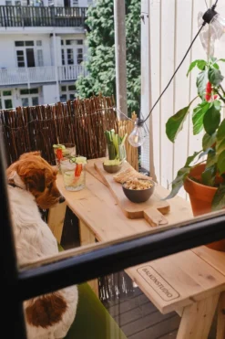 Tuinwereld Verkoop -Tuinwereld Verkoop 799x1200 5