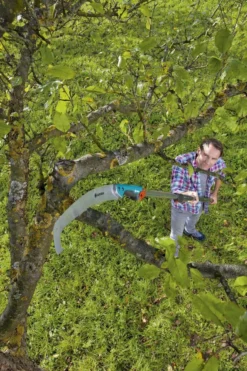 GARDENA Combisysteem Snoeizaag 300PP Curved Takkenzaag - Meslengte 315 Mm - Exclusief Verlengstok 13 GARDENA Combisysteem Snoeizaag 300PP Curved Takkenzaag - Meslengte 315 Mm - Exclusief Verlengstok -Tuinwereld Verkoop 799x1200 61