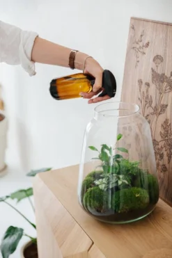 24DOTS Living Plantenspuit | 500 Ml Bruin Amber Glas | Plantensproeier | Plantenspuit Binnen | Waterverstuiver | Vernevelaar -Tuinwereld Verkoop 800x1200 129