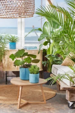 Elho The Ocean Collection Round 22cm - Bloempot Voor Binnen - 100% Gerecycled Materiaal - Gemaakt Met Zeeafval - Ø 22.3 X H 20.4 Cm - Atlantisch Blauw 14 Elho The Ocean Collection Round 22cm - Bloempot Voor Binnen - 100% Gerecycled Materiaal - Gemaakt Met Zeeafval - Ø 22.3 X H 20.4 Cm - Atlantisch Blauw -Tuinwereld Verkoop 800x1200 187