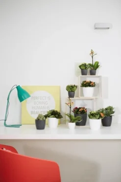 Elho B.for Soft Rond 30 - Bloempot Voor Binnen - Ø 29.5 X H 27.6 Cm - Antraciet 13 Elho B.for Soft Rond 30 - Bloempot Voor Binnen - Ø 29.5 X H 27.6 Cm - Antraciet -Tuinwereld Verkoop 800x1200 190