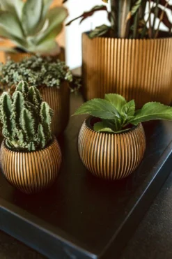 Capi Europe - Vaas Bol Groove XL - 39x33 - Goud - Bloempot Voor Binnen - Opening ⌀24 - GVGB270 7 Capi Europe - Vaas Bol Groove XL - 39x33 - Goud - Bloempot Voor Binnen - Opening ⌀24 - GVGB270 -Tuinwereld Verkoop 800x1200 196