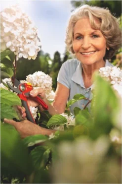 WOLF-Garten Snoeischaar "Premium Plus" RR 4000 - Max. Knipdiameter 22 Mm - Links- En Rechtshandige - Softinleg Handgreep - Snijhoek 30° - Voor Grote Handen - Vervangbare Messen 21 WOLF-Garten Snoeischaar "Premium Plus" RR 4000 - Max. Knipdiameter 22 Mm - Links- En Rechtshandige - Softinleg Handgreep - Snijhoek 30° - Voor Grote Handen - Vervangbare Messen -Tuinwereld Verkoop 800x1200 71