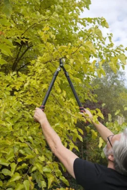 Kreator KRTGR4001 Takkenschaar - 650mm 6 Kreator KRTGR4001 Takkenschaar - 650mm -Tuinwereld Verkoop 800x1200 75