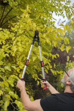 Kreator KRTGR4013 Telescopische Takkenschaar - 63-89 Cm Totale Lengte - . Ø39 Mm Knipdiameter -Tuinwereld Verkoop 800x1200 78