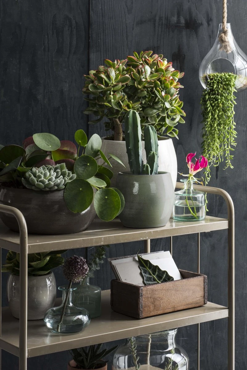 Mica Decorations Lester Bloempot - H31 X Ø33 Cm - Terracotta - Groen 6 Mica Decorations Lester Bloempot - H31 X Ø33 Cm - Terracotta - Groen - Afbeelding 6