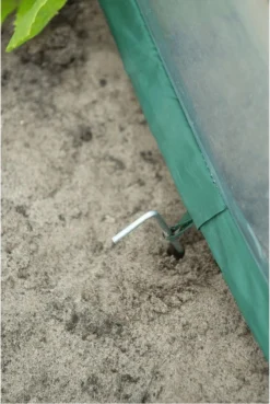 Nature - Tuinbroeikas Pop-up - 100 X 100 X 100cm - Vierkante Meter Tuin 18 Nature - Tuinbroeikas Pop-up - 100 X 100 X 100cm - Vierkante Meter Tuin -Tuinwereld Verkoop 803x1200 10