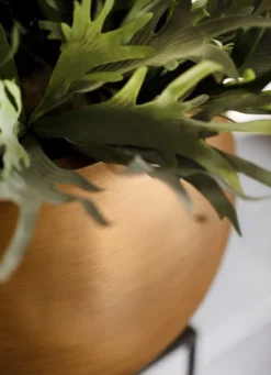 Capi Europe - Vaas Bol Retro - 30x25 - Goud - Bloempot Voor Binnen - BRTG104 17 Capi Europe - Vaas Bol Retro - 30x25 - Goud - Bloempot Voor Binnen - BRTG104 -Tuinwereld Verkoop 869x1200 4