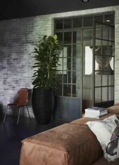 Capi Europe - Vaas Elegant Deluxe Rib NL - 56x84 - Zwart - Voor Binnen En Buiten - KBLR1132 -Tuinwereld Verkoop 873x1200 1