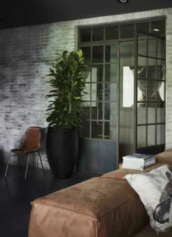 Capi Europe - Vaas Elegant Deluxe Rib NL - 40x60 - Zwart - Voor Binnen En Buiten - KBLR1131 -Tuinwereld Verkoop 873x1200 2