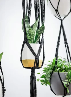 4 Stuks Luxe Macrame Plantenhangers - Boho Handgeweven Katoen Hangpot Voor Binnen/Buiten - Hangende Bloempot Met Kralen - Macramé Touw/Koord Hangplant Houder - Bohemian Wandhanger Decoratie - Plant Hanger - Verticale Tuin Bloempothouder Planthanger -Tuinwereld Verkoop 880x1200 11