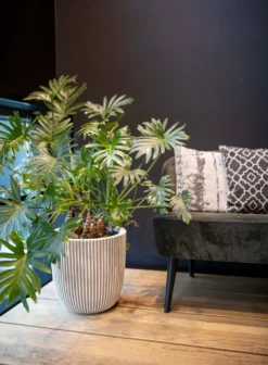 Capi Europe - Vaas Elegant Laag Groove NL - 34x46 - Goud - Voor Binnen En Buiten - KGVGB782 10 Capi Europe - Vaas Elegant Laag Groove NL - 34x46 - Goud - Voor Binnen En Buiten - KGVGB782 -Tuinwereld Verkoop 883x1200 3