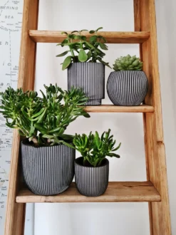 Capi Europe - Set Van 4 - Bloempot Binnen - Groove - Antraciet -Tuinwereld Verkoop 899x1200 38