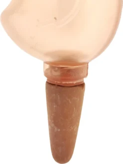 JS Drippy - Waterdruppelaars Set Van 2 Stuks - Druppelaar Vogel - Druppelsysteem Planten - Watergeefsysteem Kamerplanten - Waterbol - Roze 8 JS Drippy - Waterdruppelaars Set Van 2 Stuks - Druppelaar Vogel - Druppelsysteem Planten - Watergeefsysteem Kamerplanten - Waterbol - Roze -Tuinwereld Verkoop 900x1200 24