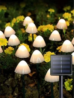 Cynergie - Tuinverlichting Op Zonneenergie - 20 X Led Lampen - Solar Lampjes Met Paddenstoelen - Kerstverlichting Buiten -Tuinwereld Verkoop 905x1200 1