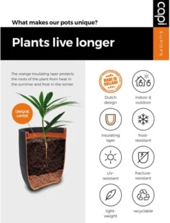 Capi Europe - Vaas Elegant Deluxe Rib NL - 45x72 - Ivoor - Voor Binnen En Buiten - KOFI1138 -Tuinwereld Verkoop 919x1200 4