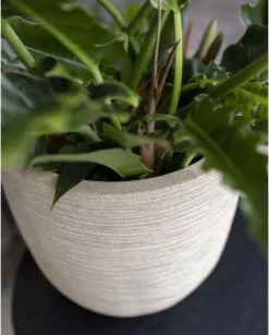 Capi Europe - Bloempot Bol Waste Rib NL - 35x34 - Terrazzo Beige - Voor Binnen En Buiten - KTBR932 -Tuinwereld Verkoop 967x1200 1