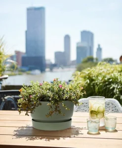 Elho Greenville Schaal 33 - Bloempot Voor Buiten - Ø 32.5 X H 19.4 Cm - Groen/Blad Groen -Tuinwereld Verkoop 986x1200